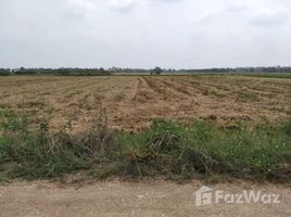  Land for sale in Thailand, Bueng Kho Hai, Lam Luk Ka, Pathum Thani, Thailand
