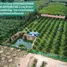 Land for sale in Ban Laeng, Rayong, Ban Laeng