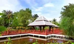 Communal Garden Area at Palm Pavilion