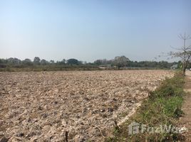  Land for sale in Chiang Mai, Pa Phai, San Sai, Chiang Mai