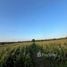 Land for sale in Khanong Phra, Nakhon Ratchasima, Khanong Phra, Pak Chong