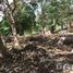  Земельный участок for sale in Pa Khlok, Пхукет, Pa Khlok