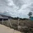 ขายที่ดิน ใน หนองแก, หัวหิน, หนองแก, หัวหิน, ประจวบคีรีขันธ์, ไทย