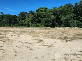  Grundstück zu verkaufen im Puerto Plata, San Felipe De Puerto Plata