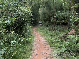 ขายที่ดิน ใน หนองบัว, ศรีสะเกษ, หนองบัว, กันทรารมย์, ศรีสะเกษ, ไทย