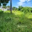Terrain à vendre à San Felipe De Puerto Plata, Puerto Plata, San Felipe De Puerto Plata, Puerto Plata, République dominicaine