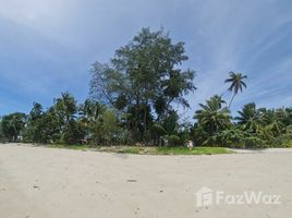 N/A Land for sale in Lipa Noi, Koh Samui Beachfront Land for Sale in Lipa Noi, Koh Samui