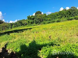 ขายที่ดิน ใน แม่โป่ง, เชียงใหม่, แม่โป่ง, ดอยสะเก็ด, เชียงใหม่, ไทย