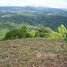  Terreno (Parcela) en venta en Costa Rica, Golfito, Puntarenas, Costa Rica