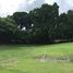  Land for sale in Chame, Panama Oeste, Las Lajas, Chame