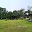6 Bedroom House for sale in Guacimo Limon, Guacimo, Limon