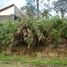  Land for sale at Centro, Itanhaem, Itanhaem, São Paulo