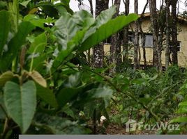  Land for sale at Centro, Itanhaem, Itanhaem, São Paulo