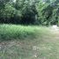  Land for sale in Kaeng Khoi, Saraburi, Thap Kwang, Kaeng Khoi