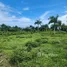 Terrain à vendre à San Felipe De Puerto Plata, Puerto Plata, San Felipe De Puerto Plata