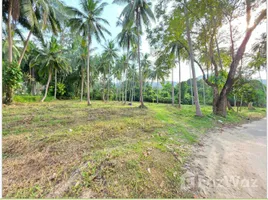  Land for sale in Koh Samui Surat Thani, Maenam