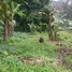 在哥斯达黎加出售的 土地, Naranjo, Alajuela, 哥斯达黎加