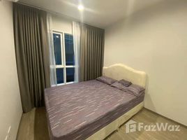 Студия Квартира в аренду в Regent Home Sukhumvit 97/1, Bang Chak, Пхра Кханонг