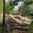  Terreno (Parcela) en venta en Kerobokan, Bali, Kerobokan, Badung