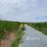  Land for sale in Bang Muang, Nonthaburi, Bang Muang, Bang Yai, Nonthaburi, Thailand