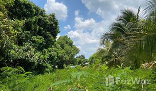 N/A Land for sale in Mae Faek Mai, Chiang Mai 