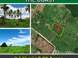 在民马罗巴区出售的 土地, Puerto Princesa City, Palawan, 民马罗巴区