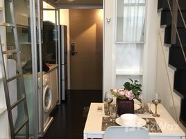 คอนโด 1 ห้องนอน ให้เช่า ในโครงการ แอชตัน มอร์ฟ 38, พระโขนง