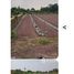  Terrain for sale in Mueang Phichit, Phichit, Ban Bung, Mueang Phichit