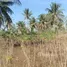  Land for sale in Khao Mai Kaeo, Pattaya, Khao Mai Kaeo