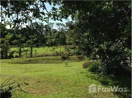 N/A Land for sale in , Limon Lote de oportunidad con lago!!!: Mountain Home Construction Site For Sale in San Isidro, San Isidro, Limón