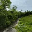  Land for sale in Thailand, Na Mueang, Koh Samui, Surat Thani, Thailand