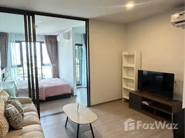 คอนโด 1 ห้องนอน ให้เช่า ในโครงการ แอสปาย สุขุมวิท-พระราม 4, พระโขนง