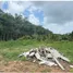  Land for sale in Rawai, Phuket, Rawai, Phuket Town, Phuket
