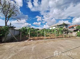  Земельный участок for sale in Mueang Chiang Mai, Чианг Маи, Pa Daet, Mueang Chiang Mai