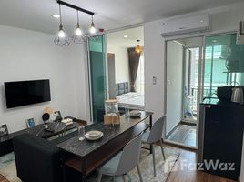 คอนโด 1 ห้องนอน ให้เช่า ในโครงการ รีเจ้นท์ โฮม สุขุมวิท 81, สวนหลวง, สวนหลวง, กรุงเทพมหานคร, ไทย