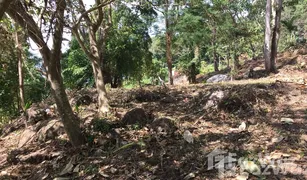 N/A Land for sale in Patong, Phuket 