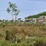  Land for sale in Si Sunthon, Phuket, Si Sunthon, Thalang