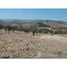  Land for sale at Colina, Colina, Chacabuco