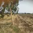  Land for sale in Lop Buri, Dong Din Daeng, Nong Muang, Lop Buri