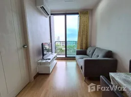 คอนโด 1 ห้องนอน ให้เช่า ในโครงการ คิว เฮ้าส์ คอนโด สุขุมวิท 79, พระโขนง, คลองเตย