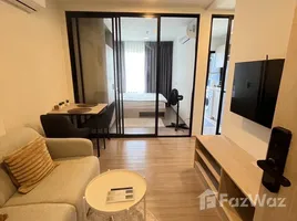 คอนโด 1 ห้องนอน ให้เช่า ในโครงการ ดีคอนโด รีฟ ภูเก็ต, กะทู้, กะทู้