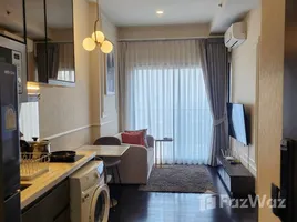 อพาร์ทเม้นท์ 1 ห้องนอน ให้เช่า ในโครงการ พาร์ค ออริจิ้น ทองหล่อ, คลองตันเหนือ