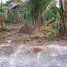  Land for sale in Thailand, Pa Khlok, Thalang, Phuket, Thailand