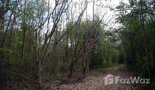 N/A Land for sale in Wat Kaeo, Ratchaburi 