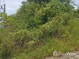  Land for sale in Koh Samui Surat Thani, Bo Phut, Koh Samui