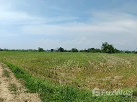 ขายที่ดิน ใน สันกำแพง เชียงใหม่, ต้นเปา, สันกำแพง