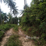  Terrain for sale in Ko Pha-Ngan, Ko Pha-Ngan, Ko Pha-Ngan