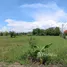  Land for sale in Buak Khang, Chiang Mai, Buak Khang, San Kamphaeng, Chiang Mai