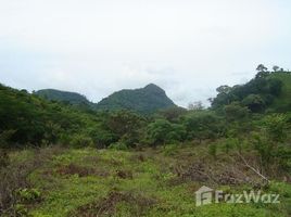  Land for sale in Panama Oeste, Sora, Chame, Panama Oeste