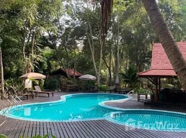 41 спален Гостиница for sale in Cian, Чианг Дао, Chiang Dao, Чианг Маи, Таиланд